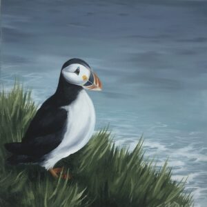 Puffin