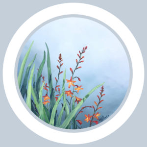 Montbretia
