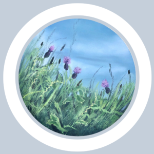 Knapweed